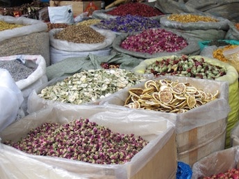 Ernährung Ernährung